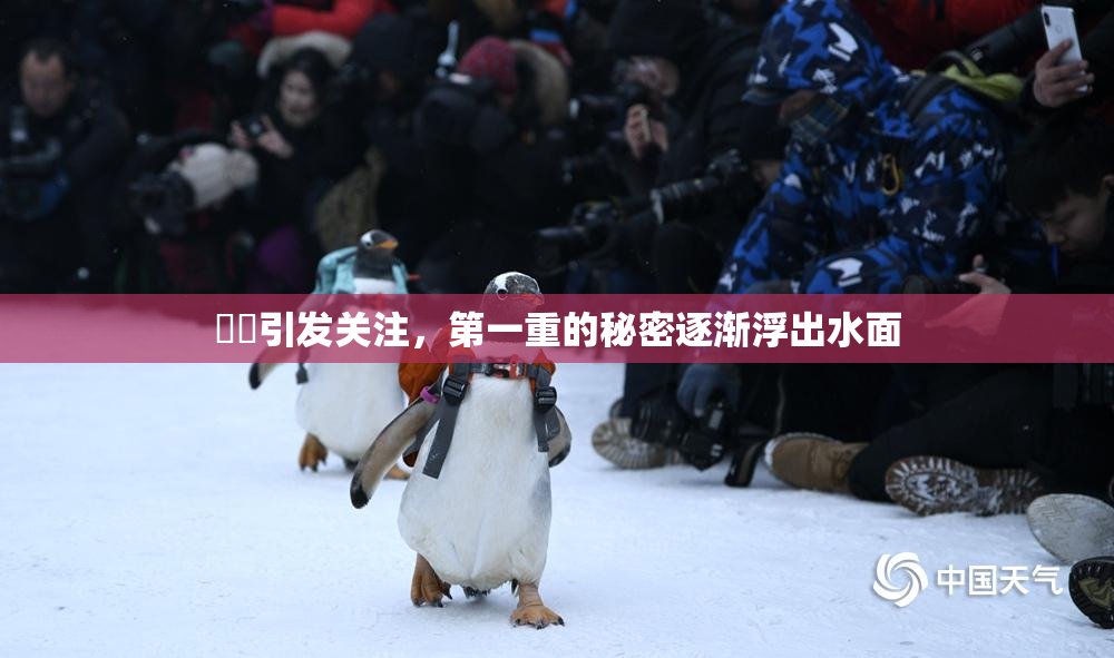 妺妺引发关注，第一重的秘密逐渐浮出水面