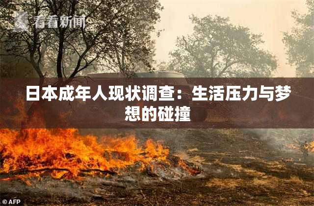 日本成年人现状调查：生活压力与梦想的碰撞