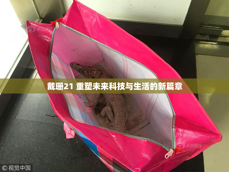 戴珊21 重塑未来科技与生活的新篇章