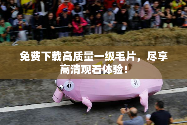 免费下载高质量一级毛片，尽享高清观看体验！