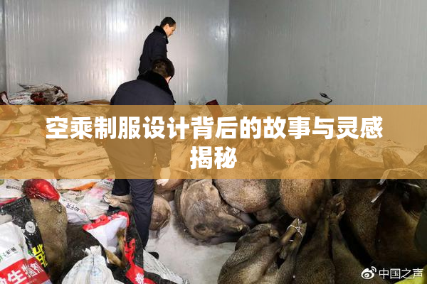 空乘制服设计背后的故事与灵感揭秘