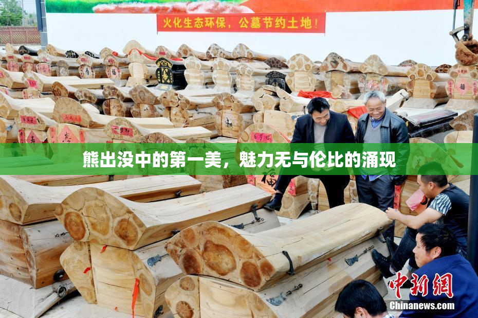 熊出没中的第一美，魅力无与伦比的涌现
