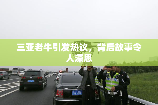三亚老牛引发热议，背后故事令人深思