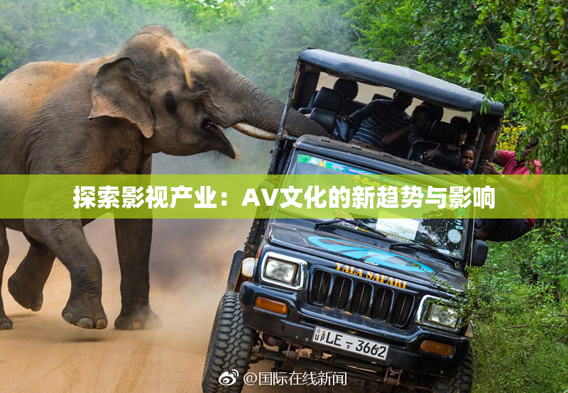 探索影视产业：AV文化的新趋势与影响