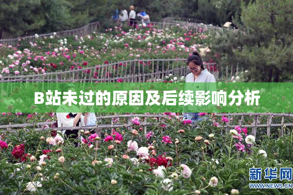 B站未过的原因及后续影响分析