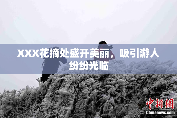 XXX花摘处盛开美丽，吸引游人纷纷光临