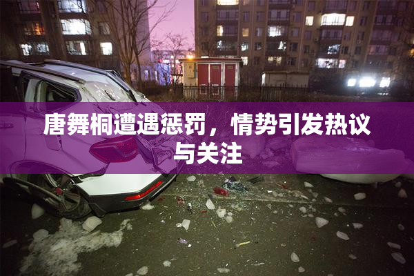 唐舞桐遭遇惩罚，情势引发热议与关注