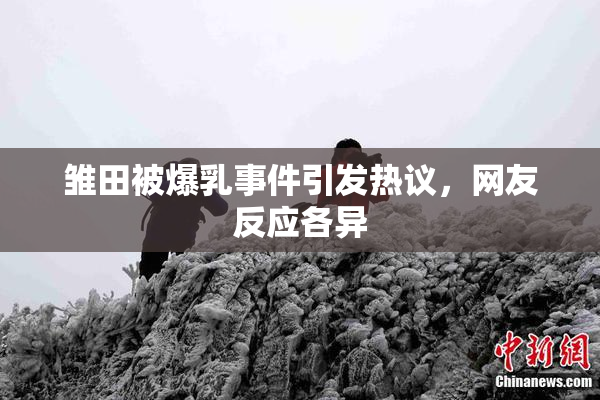 雏田被爆乳事件引发热议，网友反应各异