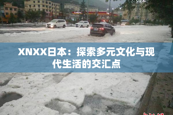 XNXX日本：探索多元文化与现代生活的交汇点
