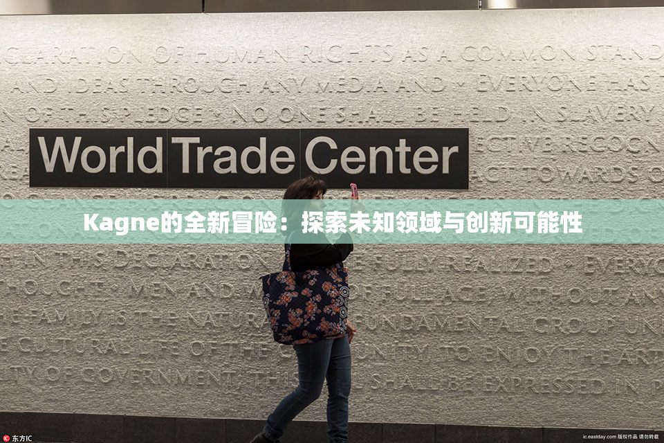 Kagne的全新冒险：探索未知领域与创新可能性