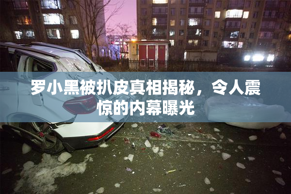 罗小黑被扒皮真相揭秘，令人震惊的内幕曝光