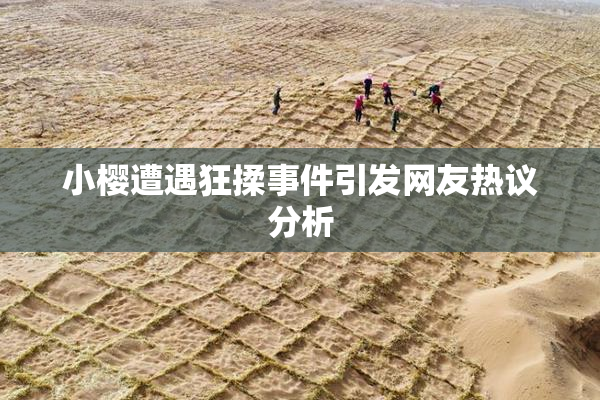 小樱遭遇狂揉事件引发网友热议分析