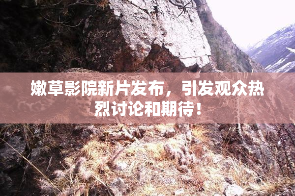 嫩草影院新片发布，引发观众热烈讨论和期待！