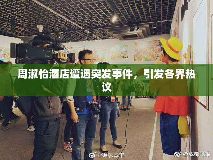 周淑怡酒店遭遇突发事件，引发各界热议