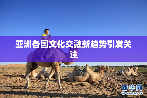 亚洲各国文化交融新趋势引发关注
