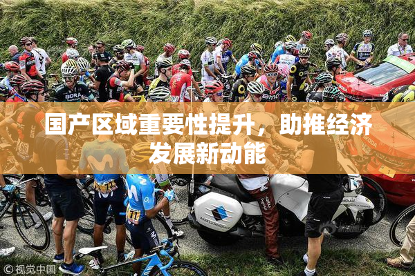 国产区域重要性提升，助推经济发展新动能