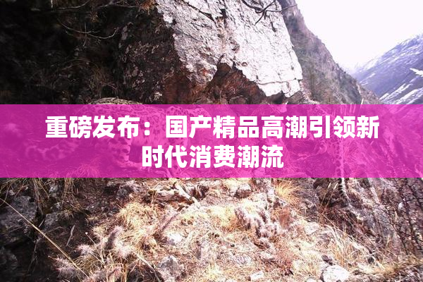 重磅发布：国产精品高潮引领新时代消费潮流