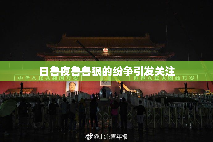 日鲁夜鲁鲁狠的纷争引发关注