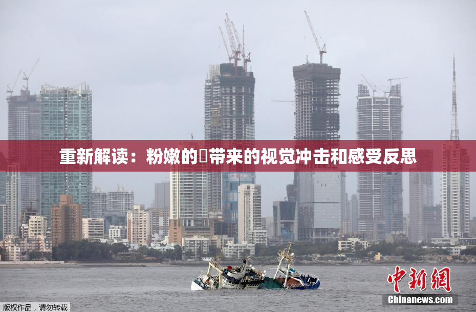 重新解读：粉嫩的泬带来的视觉冲击和感受反思