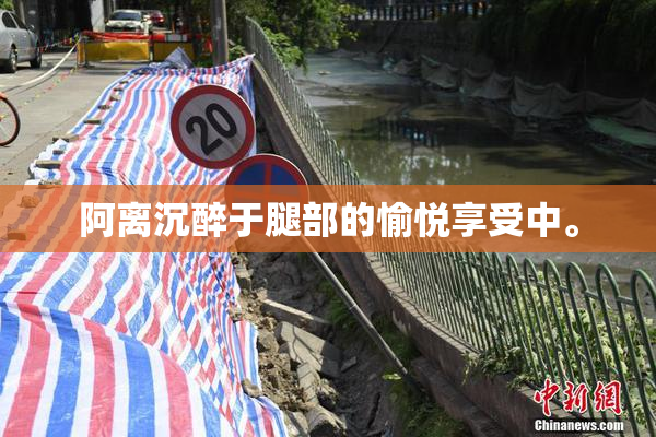 阿离沉醉于腿部的愉悦享受中。