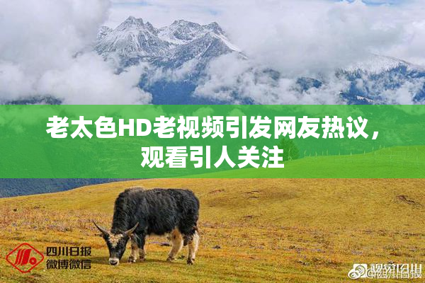 老太色HD老视频引发网友热议，观看引人关注