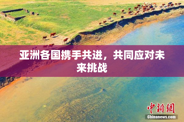亚洲各国携手共进，共同应对未来挑战