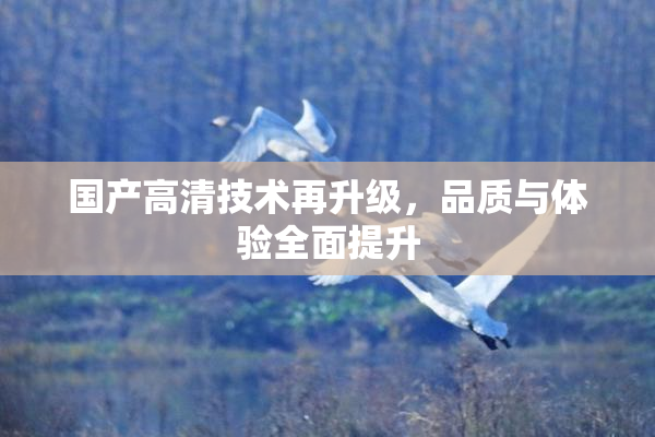 国产高清技术再升级，品质与体验全面提升