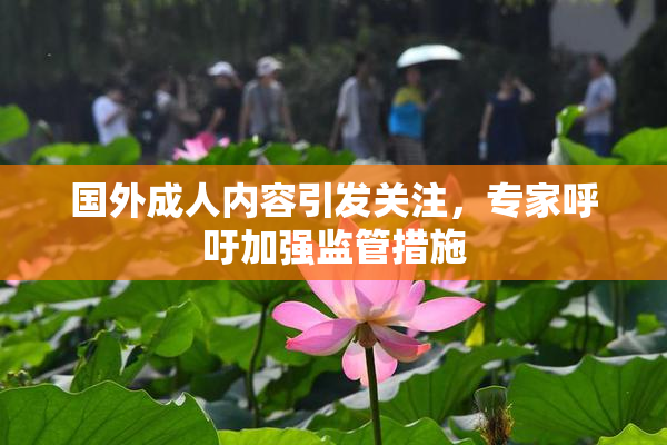 国外成人内容引发关注，专家呼吁加强监管措施