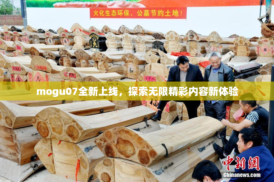 mogu07全新上线，探索无限精彩内容新体验