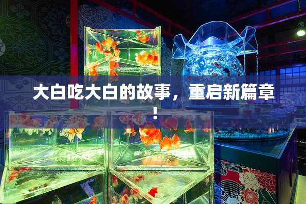 大白吃大白的故事，重启新篇章！