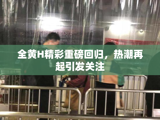全黄H精彩重磅回归，热潮再起引发关注
