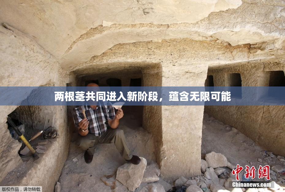 两根茎共同进入新阶段，蕴含无限可能
