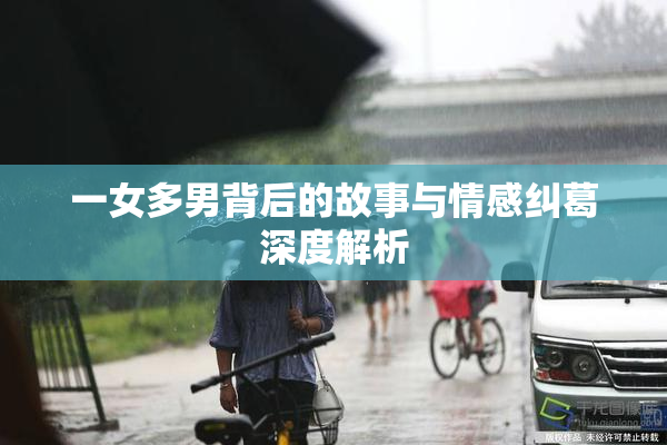 一女多男背后的故事与情感纠葛深度解析