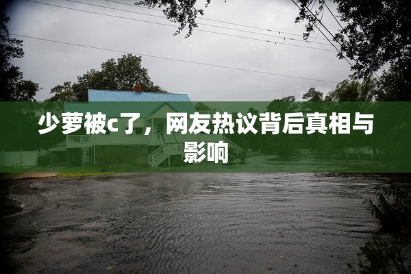 少萝被c了，网友热议背后真相与影响