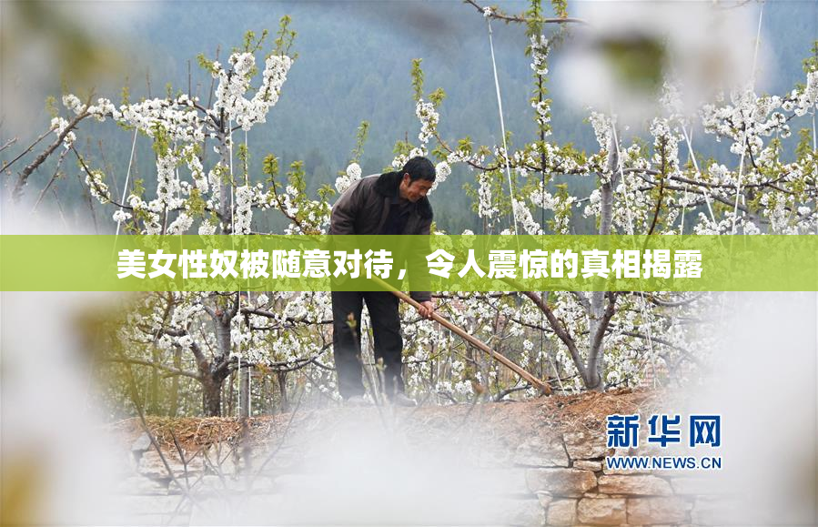 美女性奴被随意对待，令人震惊的真相揭露