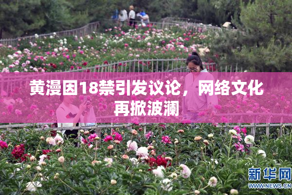 黄漫因18禁引发议论，网络文化再掀波澜