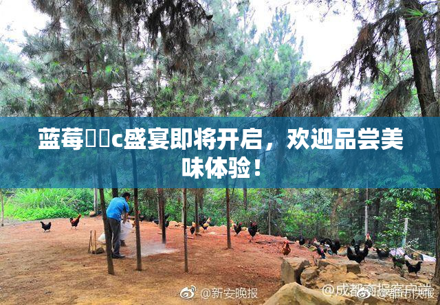 蓝莓❌‌c盛宴即将开启，欢迎品尝美味体验！