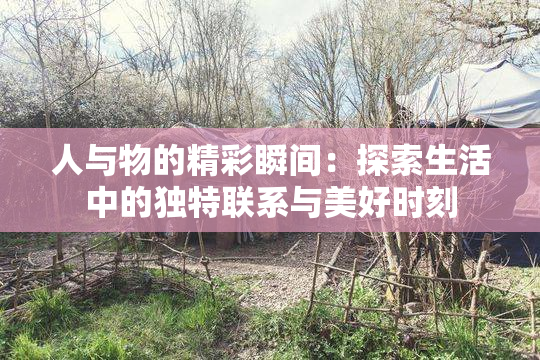 人与物的精彩瞬间：探索生活中的独特联系与美好时刻