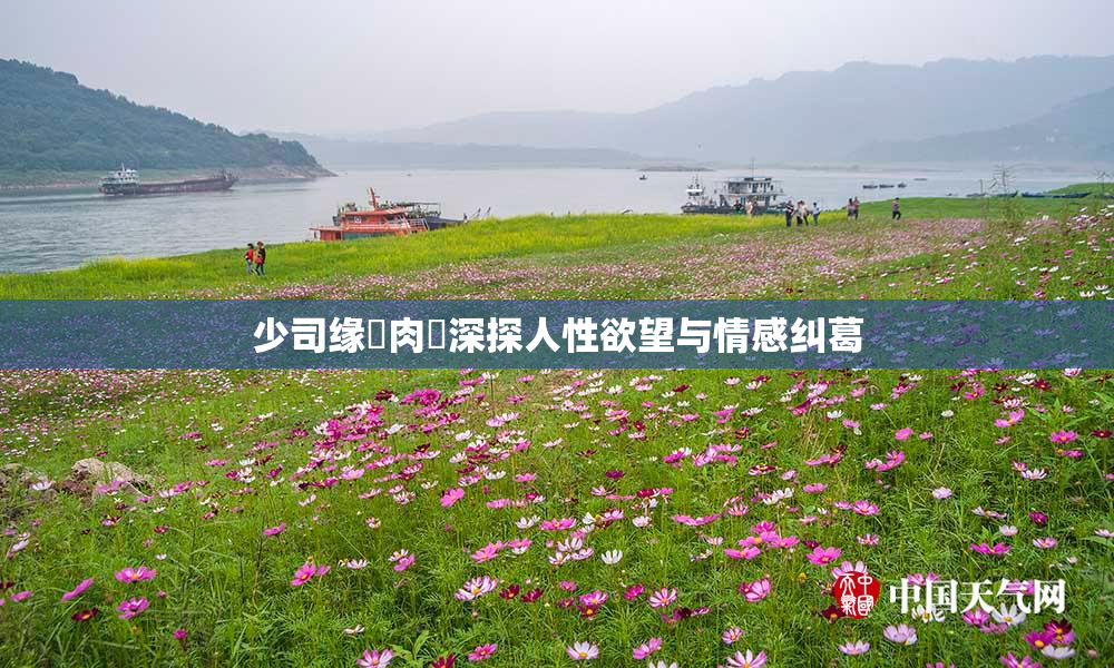 少司缘婬肉泬深探人性欲望与情感纠葛