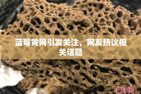 蓝莓黄网引发关注，网友热议相关话题
