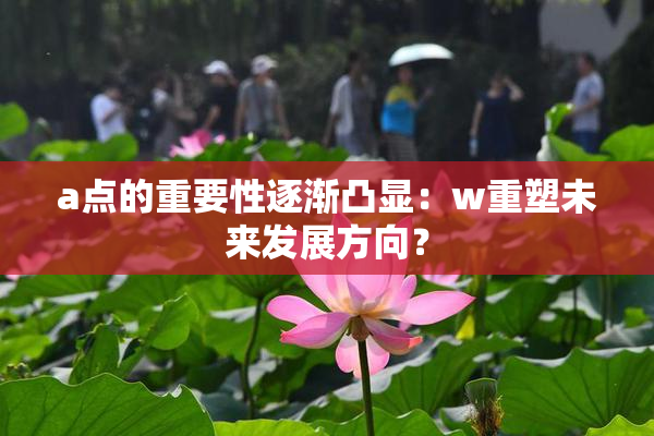 a点的重要性逐渐凸显：w重塑未来发展方向？