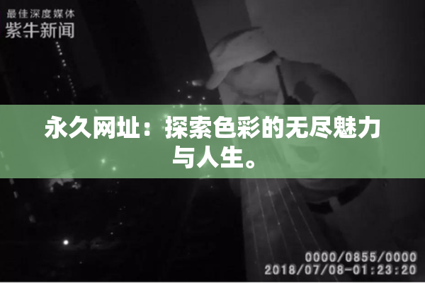 永久网址：探索色彩的无尽魅力与人生。