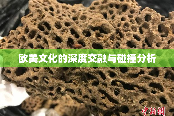 欧美文化的深度交融与碰撞分析
