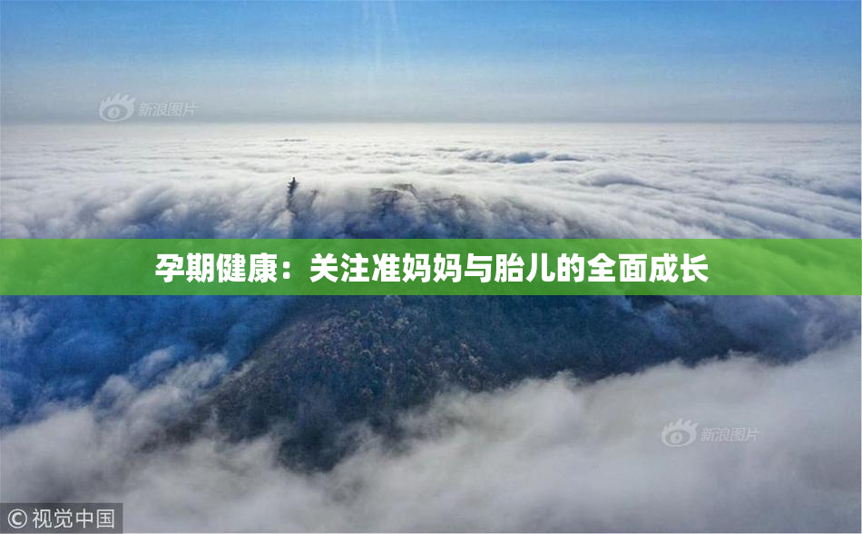 孕期健康：关注准妈妈与胎儿的全面成长