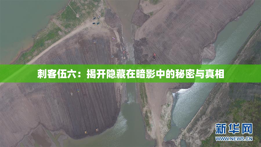 刺客伍六：揭开隐藏在暗影中的秘密与真相