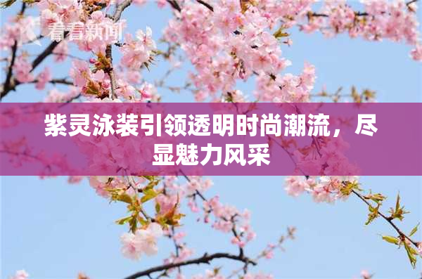 紫灵泳装引领透明时尚潮流，尽显魅力风采