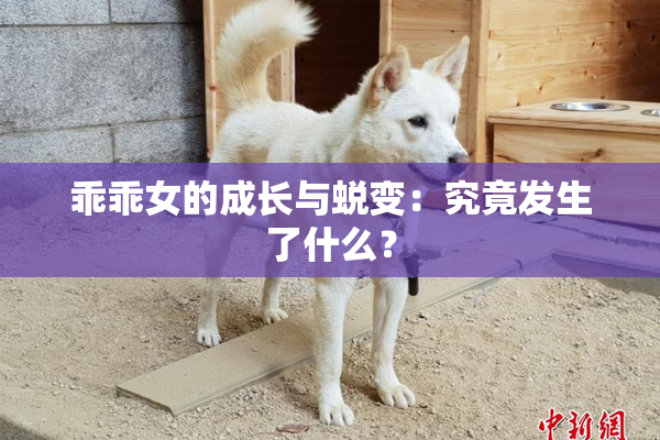 乖乖女的成长与蜕变：究竟发生了什么？