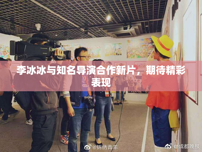 李冰冰与知名导演合作新片，期待精彩表现