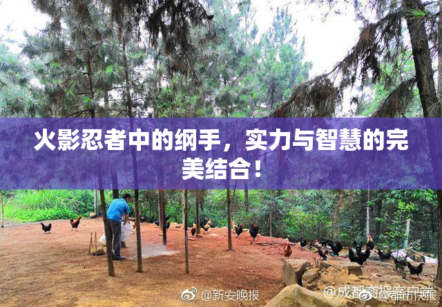 火影忍者中的纲手，实力与智慧的完美结合！