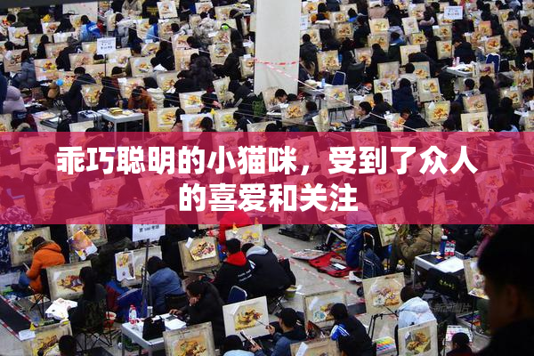 乖巧聪明的小猫咪，受到了众人的喜爱和关注